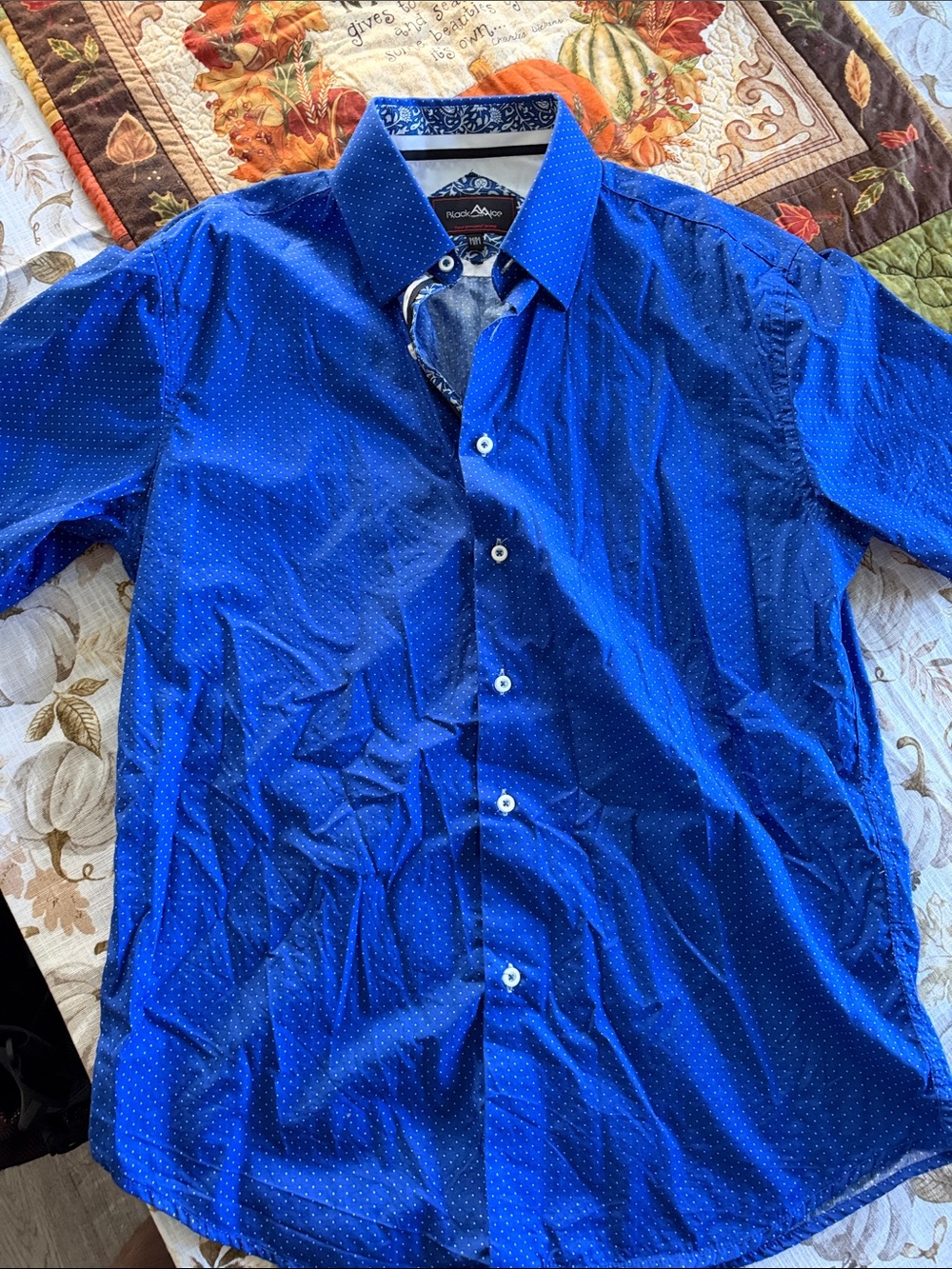 Men's Royal Blue Dot-Print Button Down Shirt